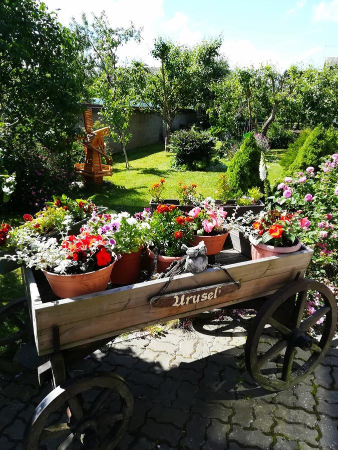 Urusel Guesthouse Талин Екстериор снимка